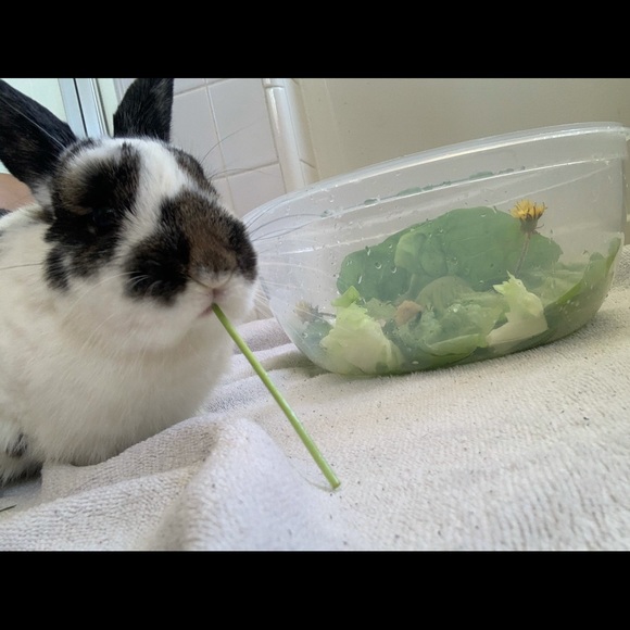 Meet your Posher, Mmichelle - Picture 5 of 5